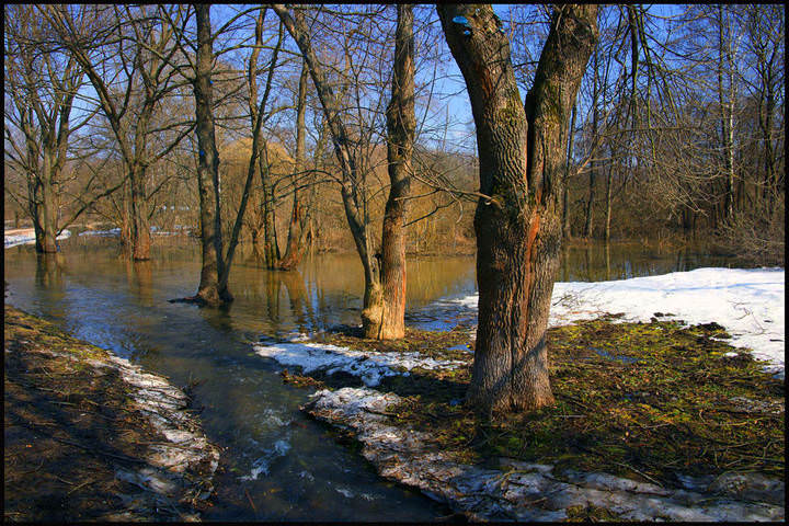 Весенний мотив.