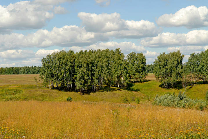 Есенинские места(Рязанская обл.)