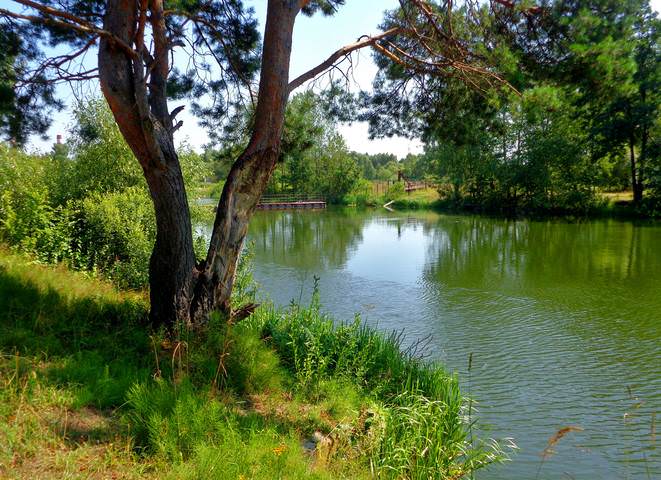 DSC08055