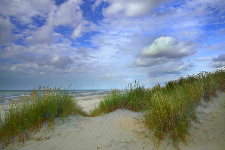 The Belgian dunes.