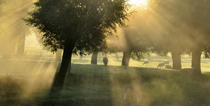 Morning in my region.