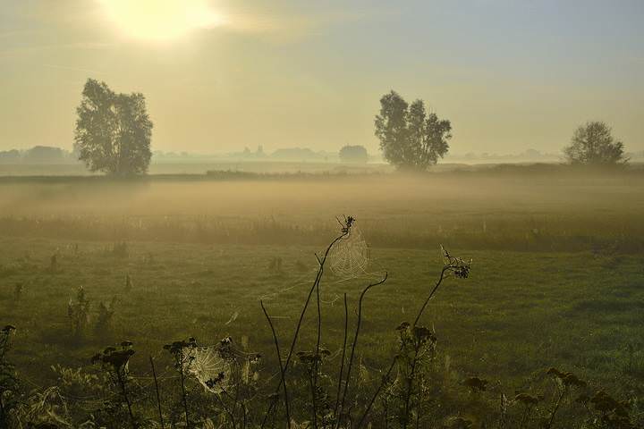 A carpet of fog.