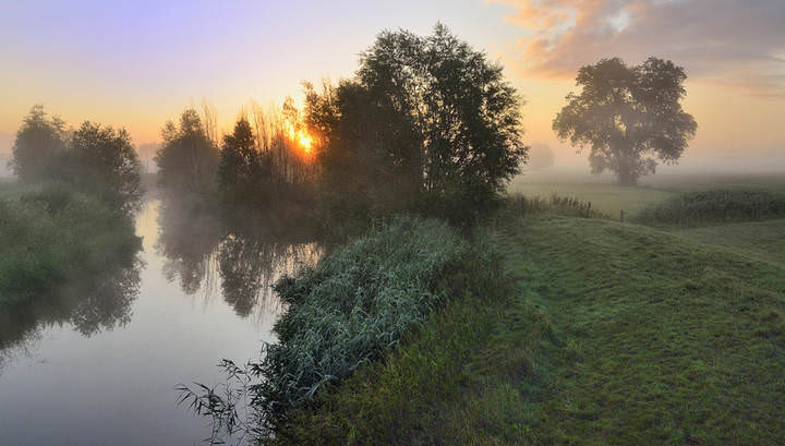A summer morning.