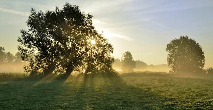 Golden morning.