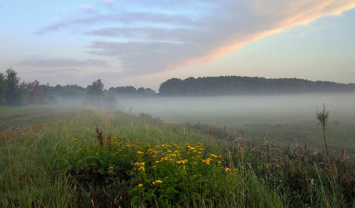 Colors of a summer morning.