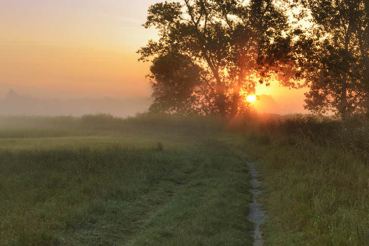 Walking in the morning.
