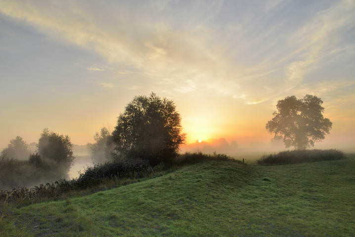 A summer morning.