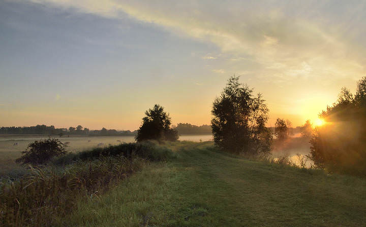 A summer morning.