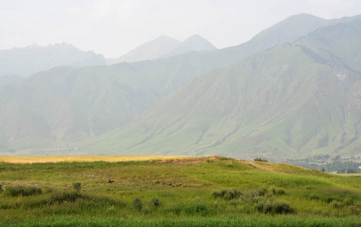 Предгорье Алатау
