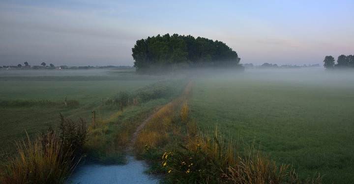 The way to the fog.