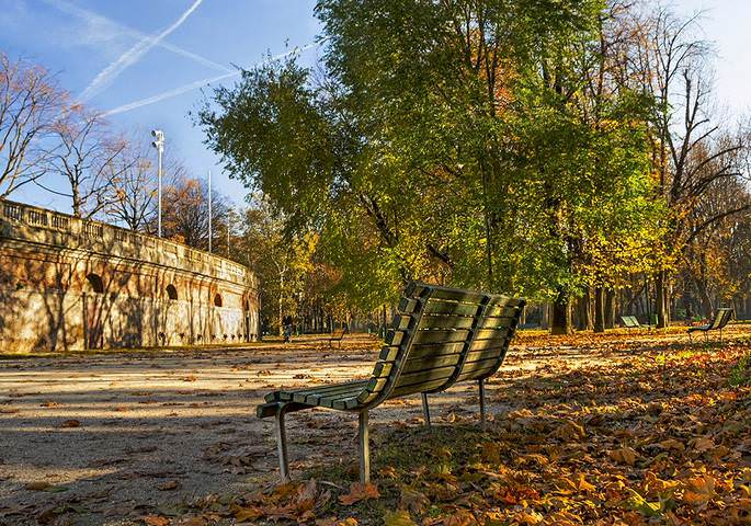 Осень в парке