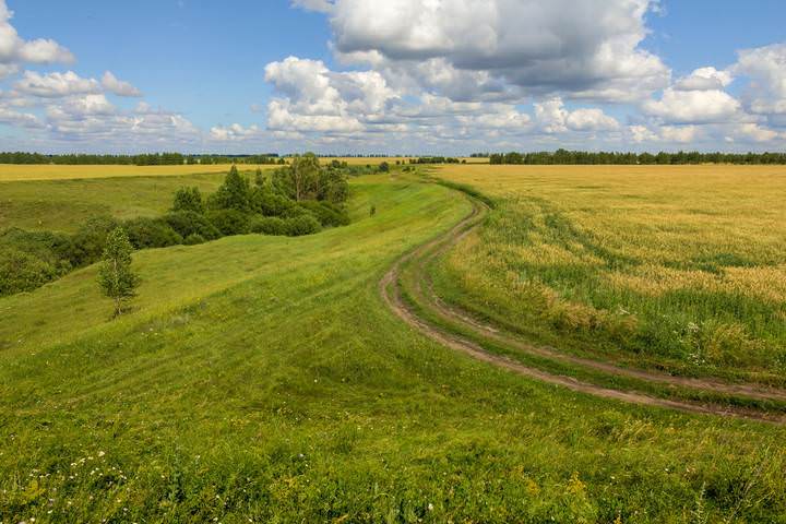 Макушка лета