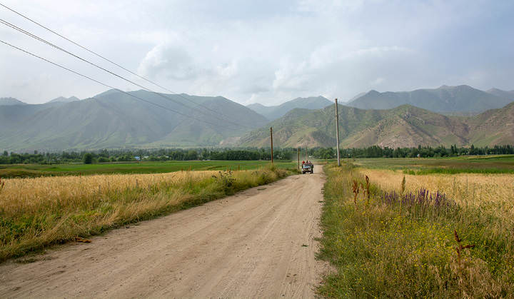 В Курментах