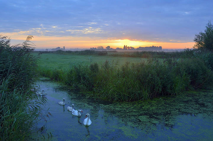 A romantic morning.