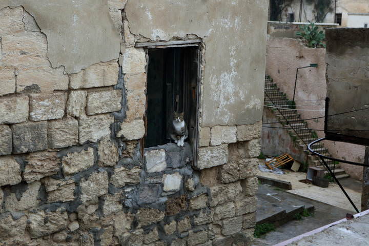 Жители и гости  Нацерета 
