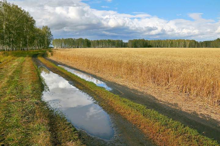 Хлеба