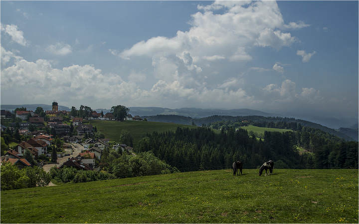 Сельская пастораль...
