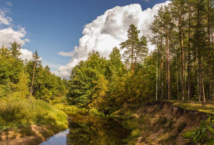 Облако..