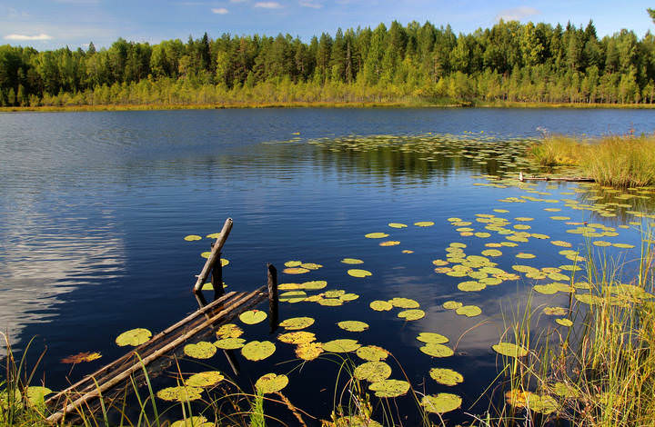 Разлука с летом. 