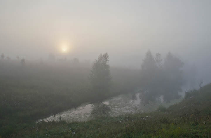Сонные берега