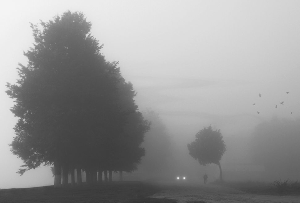 Где осень спуталась с туманом...бреду