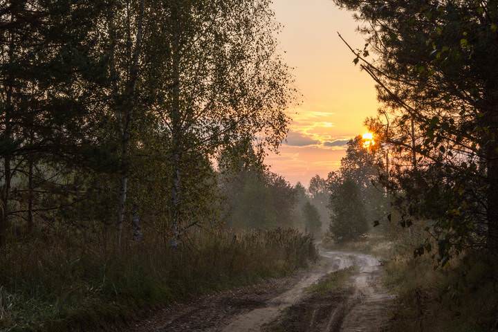 Утренняя прогулка..