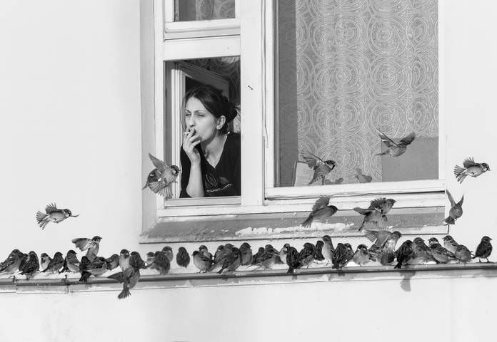 Ах, эта женщина в окне... )