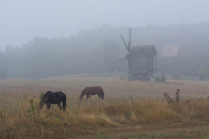 DSC_6942