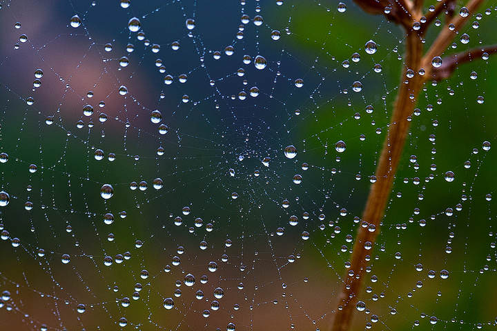 DSC_6910