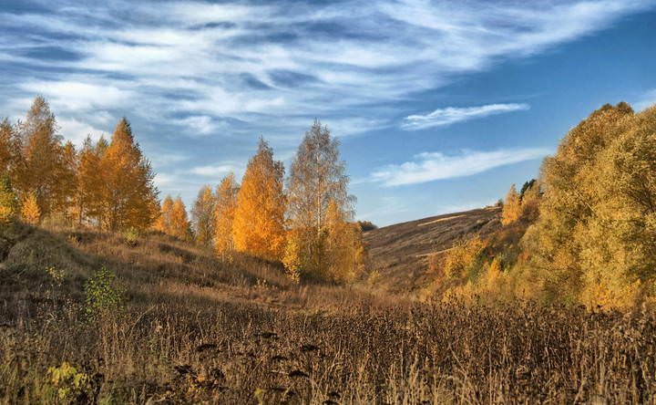 Апогея осени 