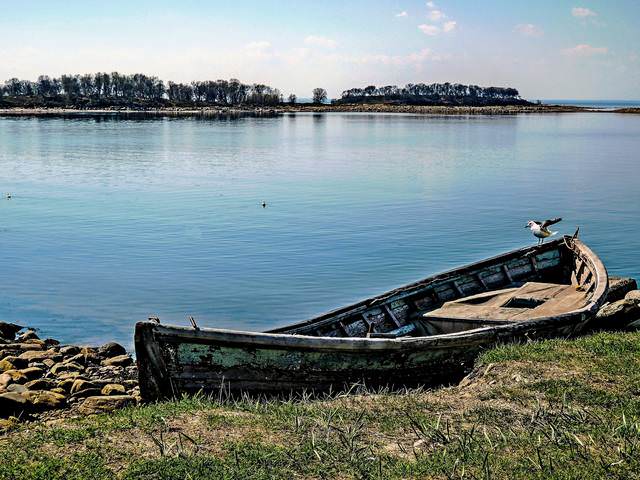 Беломорский сюжет
