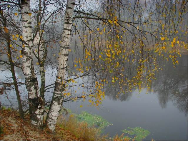 Осенняя лирическая*...