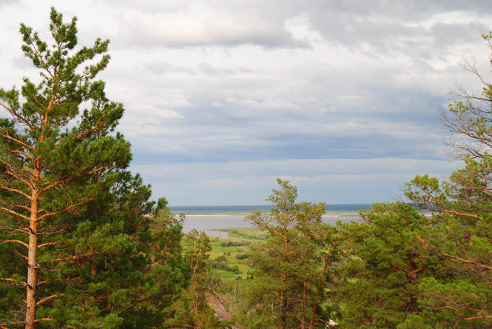 Ленские просторы.