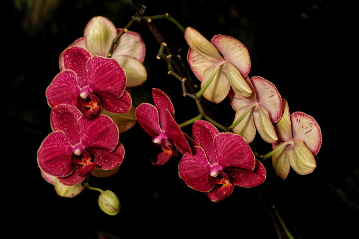 DSC02255_DxO-1