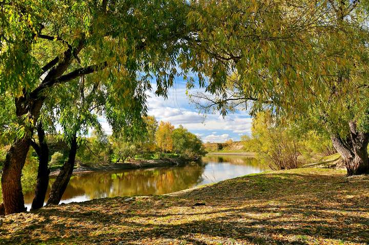 Осень на реке