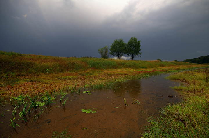 Прошла гроза