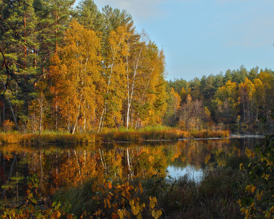 Осень у лесного озера.