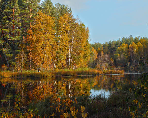 Осень у лесного озера.