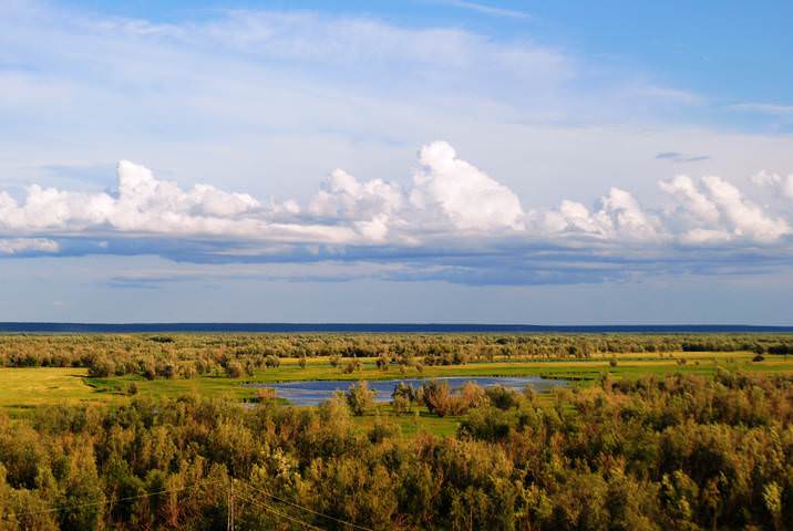 Ленские просторы.
