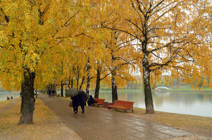 Осень в парке