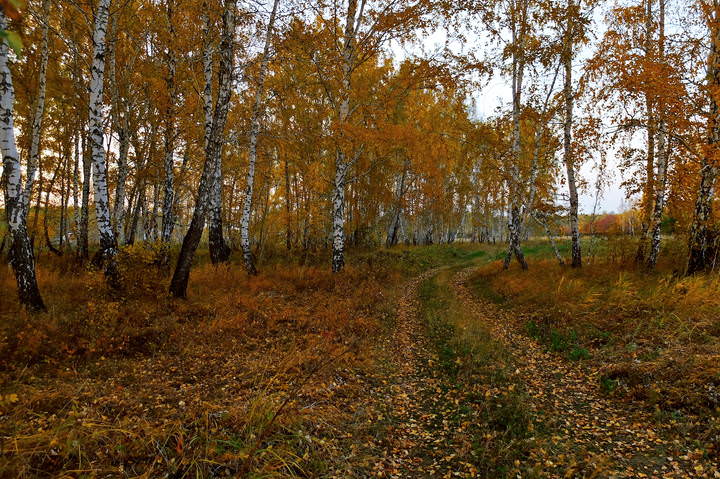 Осень.