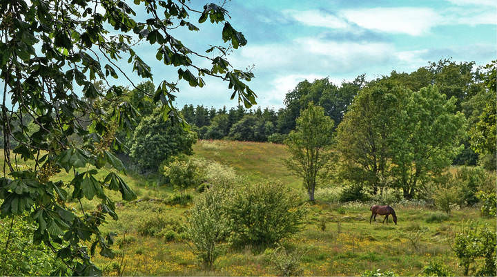 Scania, Sweden 