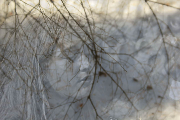 56138c7a77053e5f59000001