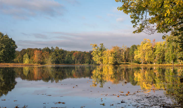 Transparent Autumn