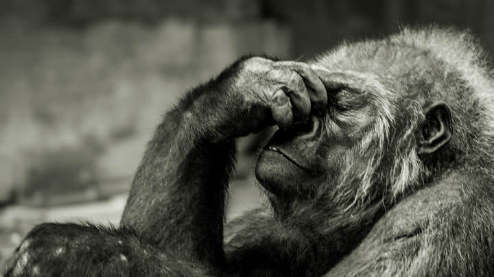 Le Penseur