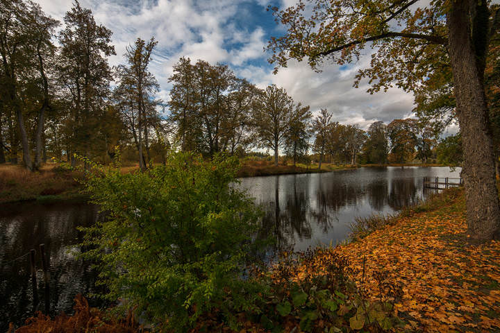 Autumn motive