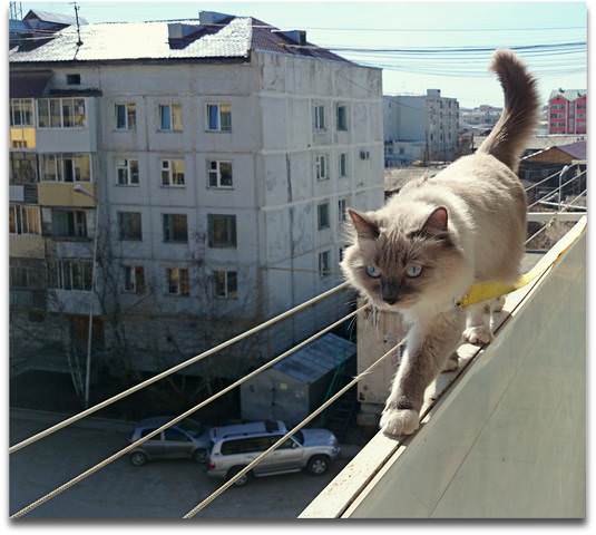 Федул-30