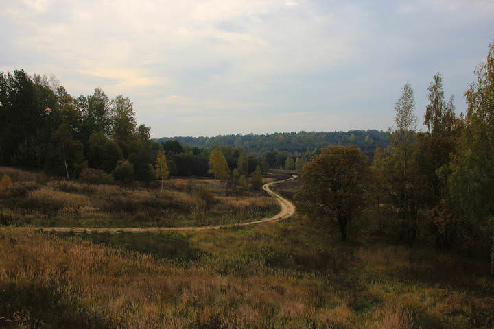 Дорога в осенний лес