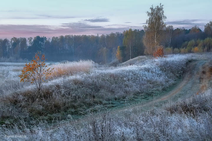Первые заморозки