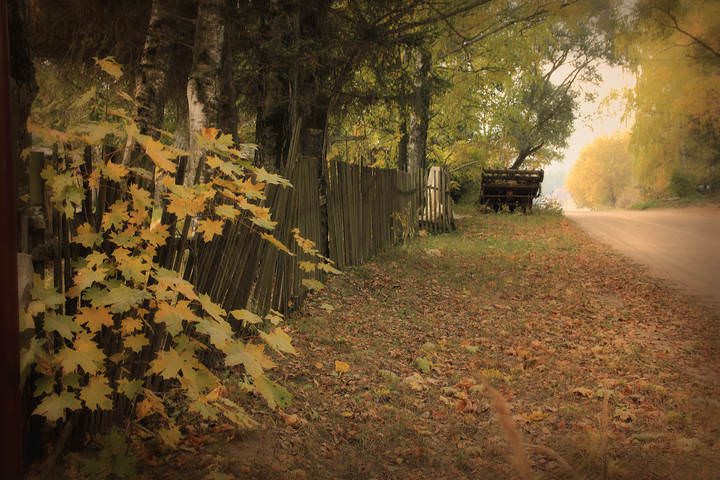 Воспоминания . . .